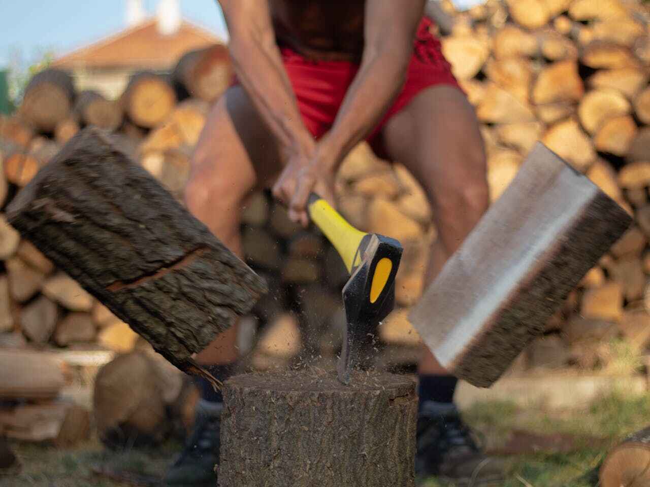 Best Tree Trimming Near Me  in USA